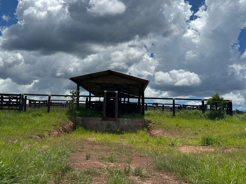 Olhe a OPORTUNIDADE - Fazenda plantando 185 ha, em Sítio d’Abadia-GO: 16ª foto da galeria de imagens do imóvel