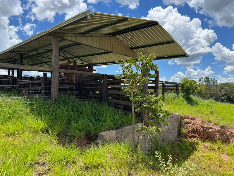 Olhe a OPORTUNIDADE - Fazenda plantando 185 ha, em Sítio d’Abadia-GO: 17ª foto da galeria de imagens do imóvel