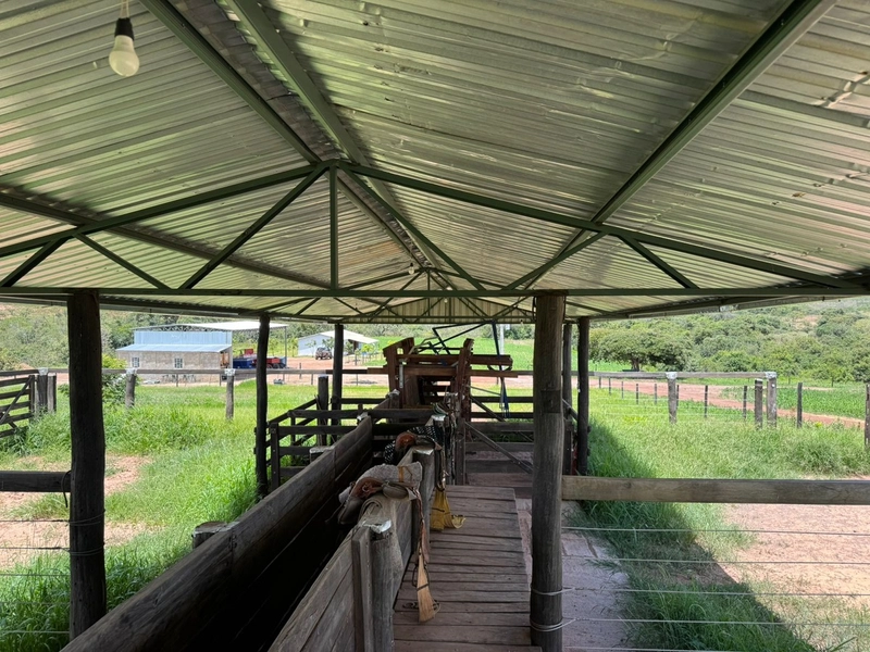 Olhe a OPORTUNIDADE - Fazenda plantando 185 ha, em Sítio d’Abadia-GO: 19ª foto da galeria de imagens do imóvel