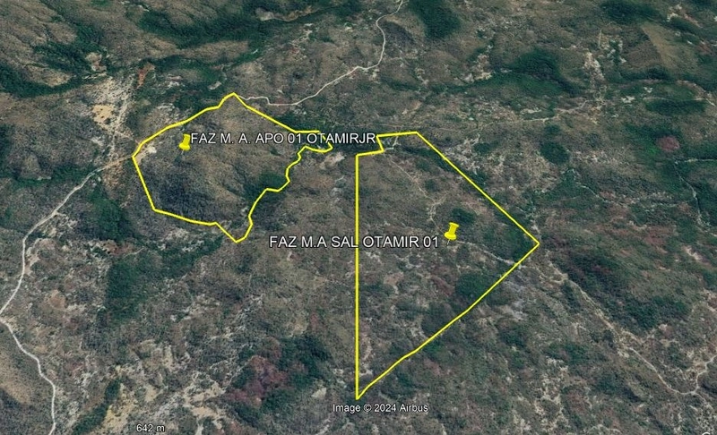 Fazenda PECUÁRIA ou RESERVA, 161 ha em Teresina de Go.: 2ª foto da galeria de imagens do imóvel