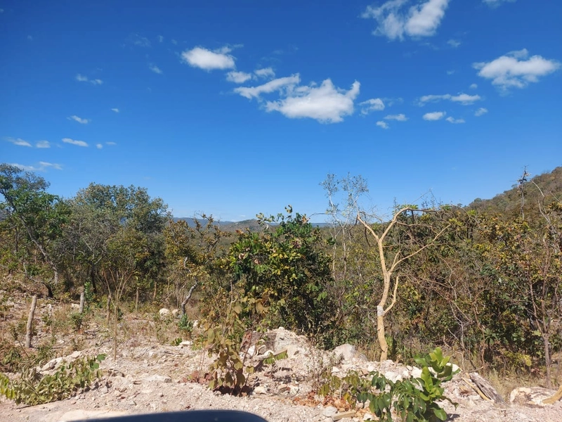 Fazenda PECUÁRIA ou RESERVA, 161 ha em Teresina de Go.: 4ª foto da galeria de imagens do imóvel