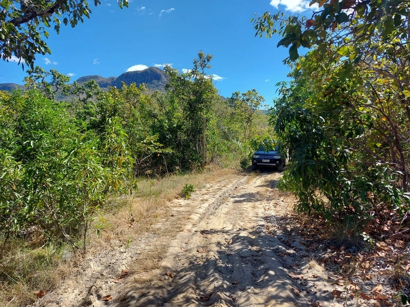 Fazenda PECUÁRIA ou RESERVA, 161 ha em Teresina de Go.: 3ª foto da galeria de imagens do imóvel