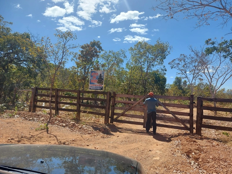 Fazenda PECUÁRIA ou RESERVA, 161 ha em Teresina de Go.: 1ª foto da galeria de imagens do imóvel