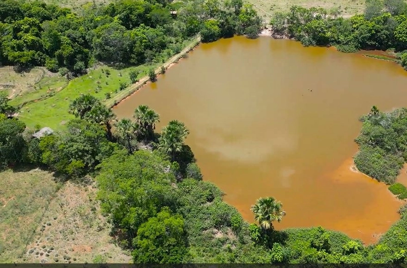 Fazenda à venda, 233 Ha, em Luziânia-GO - Valor ótimo: 8ª foto da galeria de imagens do imóvel