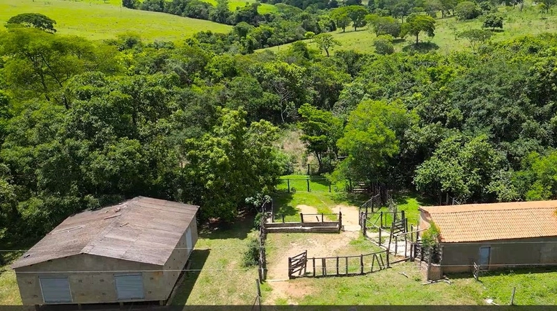 Fazenda à venda, 233 Ha, em Luziânia-GO - Valor ótimo: 10ª foto da galeria de imagens do imóvel