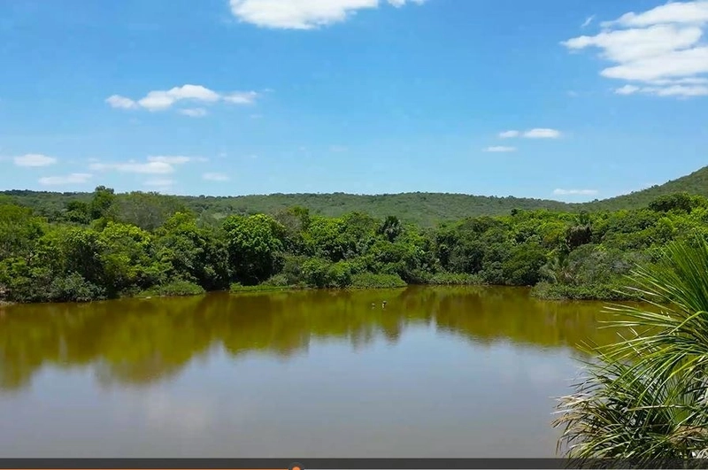Fazenda à venda, 233 Ha, em Luziânia-GO - Valor ótimo: 7ª foto da galeria de imagens do imóvel