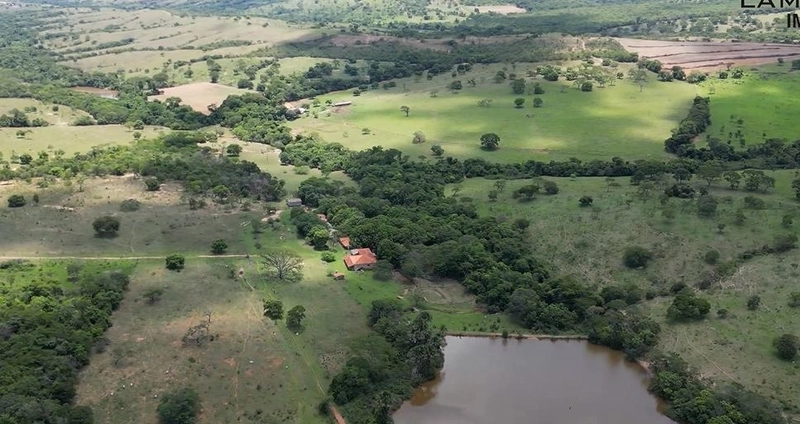 Fazenda à venda, 233 Ha, em Luziânia-GO - Valor ótimo: 5ª foto da galeria de imagens do imóvel