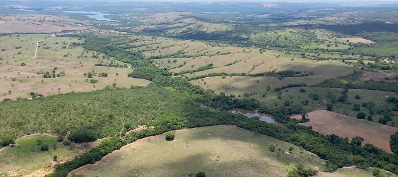 Fazenda à venda, 233 Ha, em Luziânia-GO - Valor ótimo: 3ª foto da galeria de imagens do imóvel