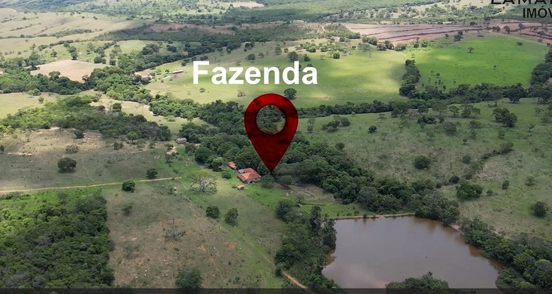 Fazenda à venda, 233 Ha, em Luziânia-GO - Valor ótimo: 4ª foto da galeria de imagens do imóvel