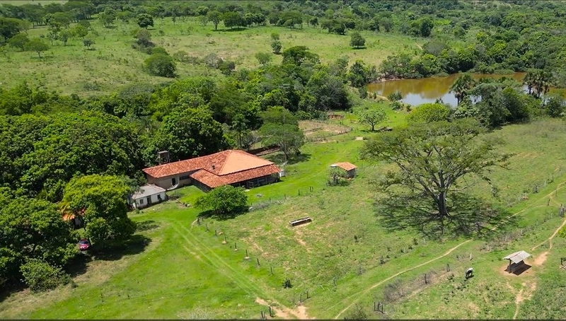 Fazenda à venda, 233 Ha, em Luziânia-GO - Valor ótimo: 18ª foto da galeria de imagens do imóvel