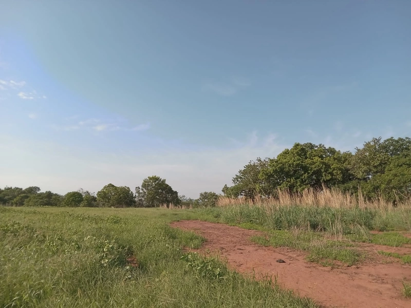 Fazenda à venda, 401,72 Ha, em Mara Rosa-GO - Plantando 300 ha em lavo: 10ª foto da galeria de imagens do imóvel