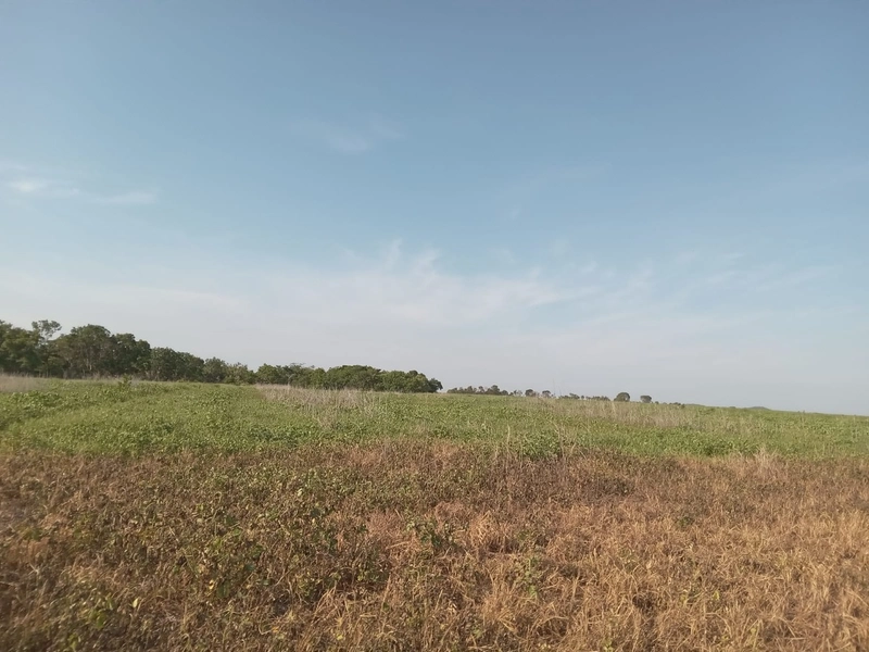 Fazenda à venda, 401,72 Ha, em Mara Rosa-GO - Plantando 300 ha em lavo: 12ª foto da galeria de imagens do imóvel