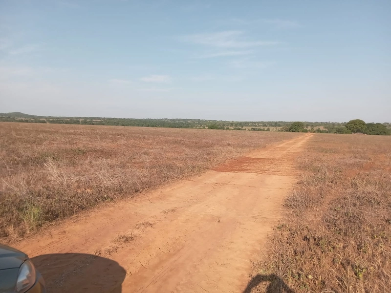 Fazenda à venda, 401,72 Ha, em Mara Rosa-GO - Plantando 300 ha em lavo: 16ª foto da galeria de imagens do imóvel