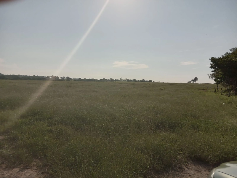 Fazenda à venda, 401,72 Ha, em Mara Rosa-GO - Plantando 300 ha em lavo: 8ª foto da galeria de imagens do imóvel