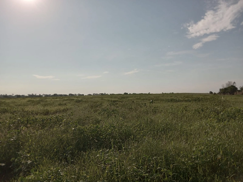 Fazenda à venda, 401,72 Ha, em Mara Rosa-GO - Plantando 300 ha em lavo: 14ª foto da galeria de imagens do imóvel