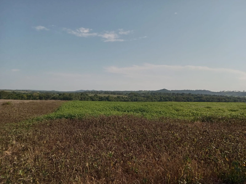 Fazenda à venda, 401,72 Ha, em Mara Rosa-GO - Plantando 300 ha em lavo: 15ª foto da galeria de imagens do imóvel