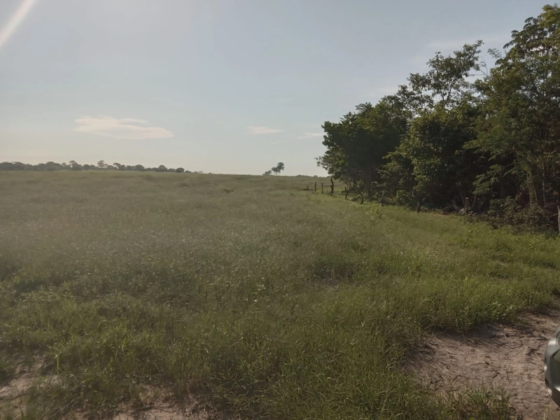 Fazenda à venda, 401,72 Ha, em Mara Rosa-GO - Plantando 300 ha em lavo: 6ª foto da galeria de imagens do imóvel