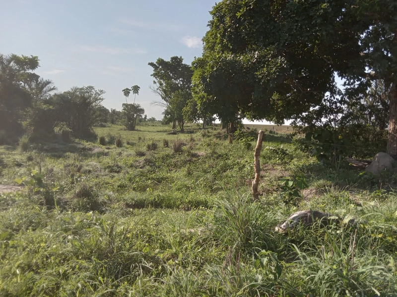 Fazenda à venda, 401,72 Ha, em Mara Rosa-GO - Plantando 300 ha em lavo: 5ª foto da galeria de imagens do imóvel
