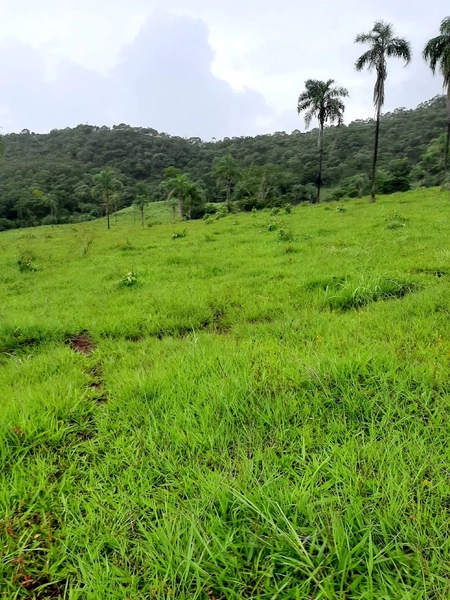Fazenda à venda, 54 alq. (261,36 Ha), em Campinaçu-GO. 3 km do asfalto: 3ª foto da galeria de imagens do imóvel