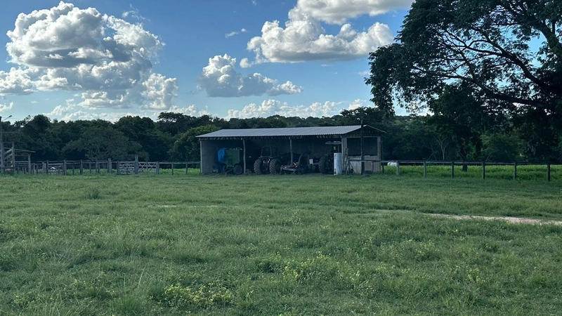 Excelente Fazenda à venda em Riachinho-MG.: 15ª foto da galeria de imagens do imóvel