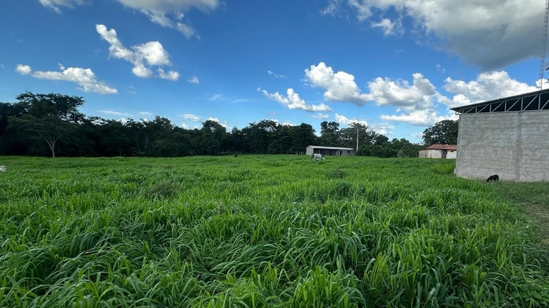 Excelente Fazenda à venda em Riachinho-MG.: 19ª foto da galeria de imagens do imóvel