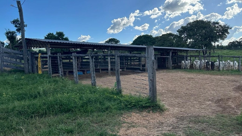 Excelente Fazenda à venda em Riachinho-MG.: 21ª foto da galeria de imagens do imóvel