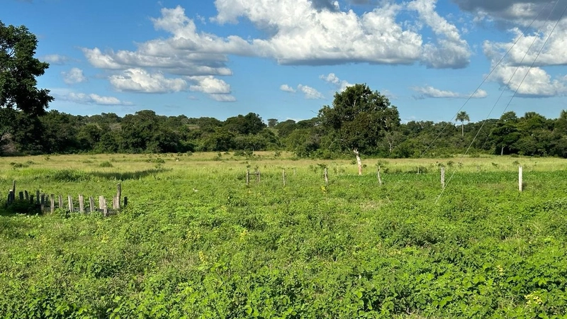 Excelente Fazenda à venda em Riachinho-MG.: 24ª foto da galeria de imagens do imóvel