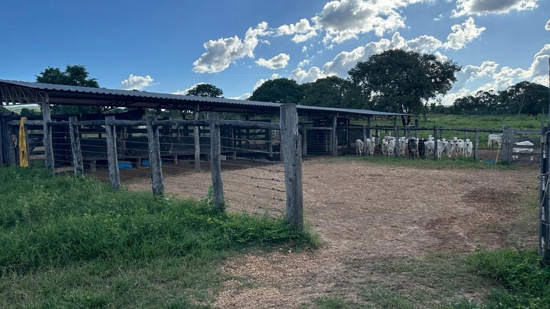 Excelente Fazenda à venda em Riachinho-MG.: 12ª foto da galeria de imagens do imóvel