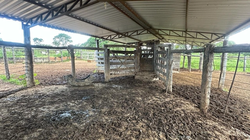 Excelente Fazenda à venda em Riachinho-MG.: 23ª foto da galeria de imagens do imóvel