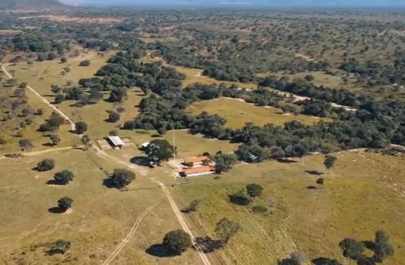 Excelente Fazenda à venda em Riachinho-MG.: 2ª foto da galeria de imagens do imóvel
