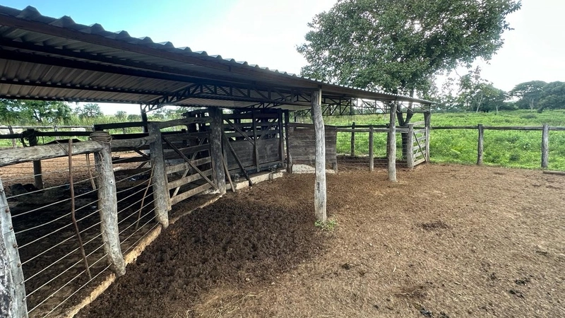 Excelente Fazenda à venda em Riachinho-MG.: 17ª foto da galeria de imagens do imóvel