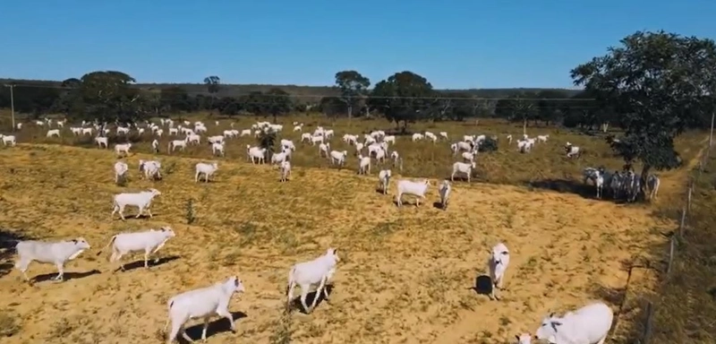 Excelente Fazenda à venda em Riachinho-MG.: 5ª foto da galeria de imagens do imóvel