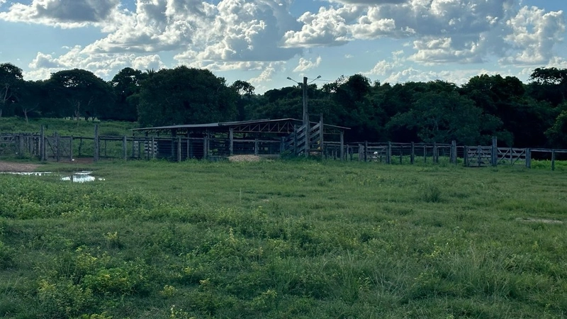 Excelente Fazenda à venda em Riachinho-MG.: 16ª foto da galeria de imagens do imóvel