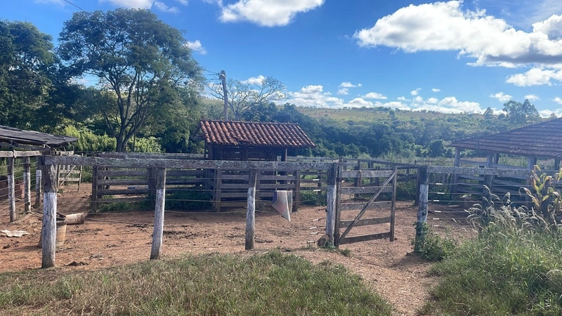 Fazenda à venda, 278 Ha, em Luziânia-GO 147 ha de lavoura.: 7ª foto da galeria de imagens do imóvel
