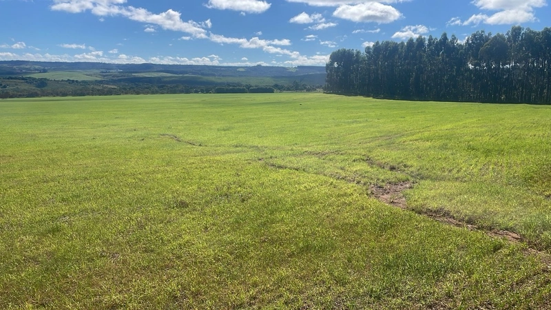 Fazenda à venda, 278 Ha, em Luziânia-GO 147 ha de lavoura.: 2ª foto da galeria de imagens do imóvel