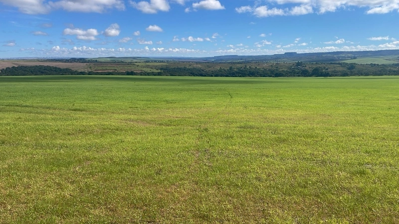 Fazenda à venda, 278 Ha, em Luziânia-GO 147 ha de lavoura.: 5ª foto da galeria de imagens do imóvel