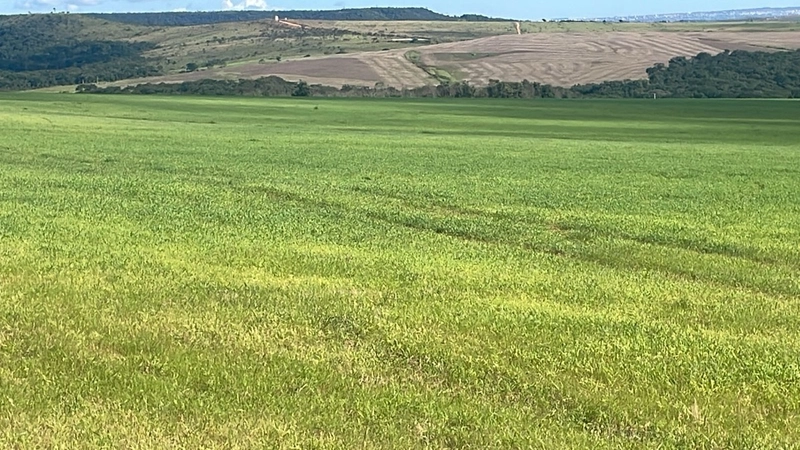 Fazenda à venda, 278 Ha, em Luziânia-GO 147 ha de lavoura.: 3ª foto da galeria de imagens do imóvel