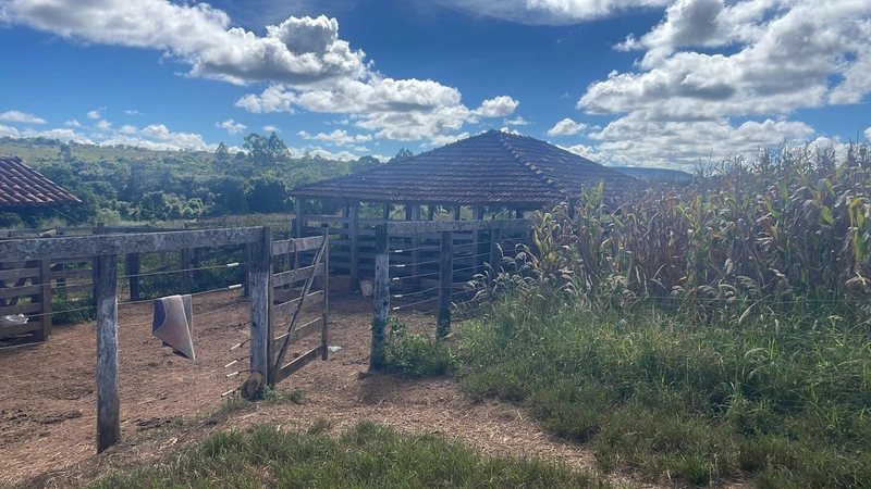 Fazenda à venda, 278 Ha, em Luziânia-GO 147 ha de lavoura.: 9ª foto da galeria de imagens do imóvel