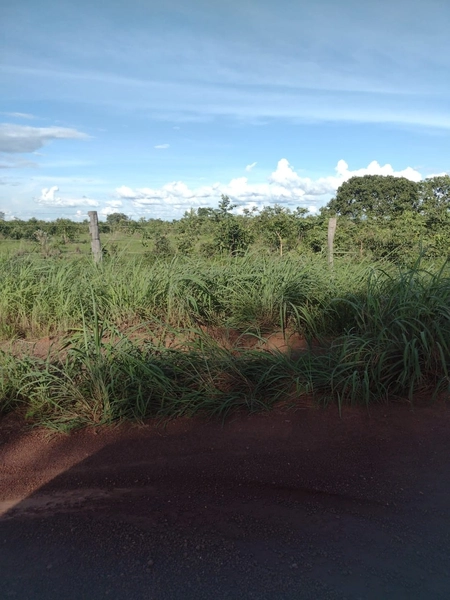 Fazenda à venda, 1.277.76 ha, em Peixe-TO 100% da área para PLANTIO.: 10ª foto da galeria de imagens do imóvel