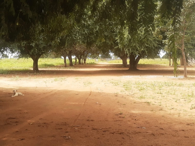Fazenda à venda, 1.277.76 ha, em Peixe-TO 100% da área para PLANTIO.: 11ª foto da galeria de imagens do imóvel