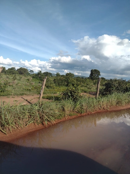 Fazenda à venda, 1.277.76 ha, em Peixe-TO 100% da área para PLANTIO.: 4ª foto da galeria de imagens do imóvel