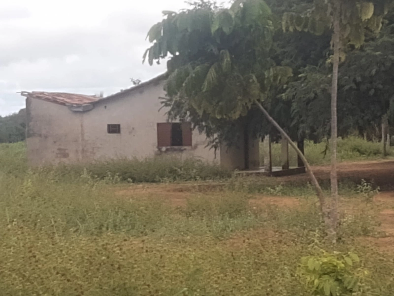 Fazenda à venda, 1.277.76 ha, em Peixe-TO 100% da área para PLANTIO.: 13ª foto da galeria de imagens do imóvel