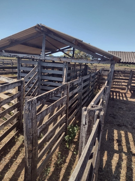 Fazenda à venda, 1.277.76 ha, em Peixe-TO 100% da área para PLANTIO.: 14ª foto da galeria de imagens do imóvel