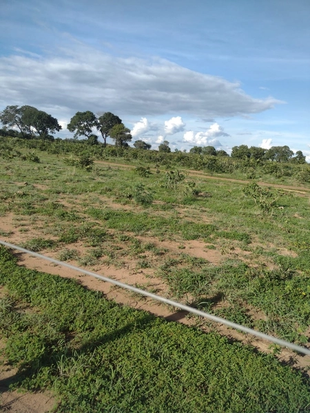 Fazenda à venda, 1.277.76 ha, em Peixe-TO 100% da área para PLANTIO.: 7ª foto da galeria de imagens do imóvel