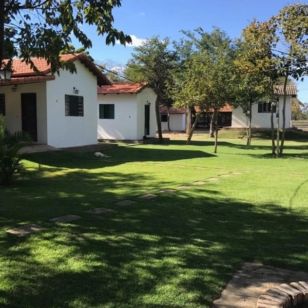 M A R A V I L H A Fazenda/Sítio de L U X O, 31 hectares em Riachinho.: 3ª foto da galeria de imagens do imóvel