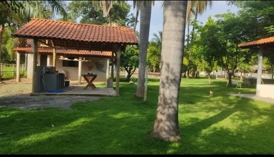 M A R A V I L H A Fazenda/Sítio de L U X O, 31 hectares em Riachinho.: 14ª foto da galeria de imagens do imóvel