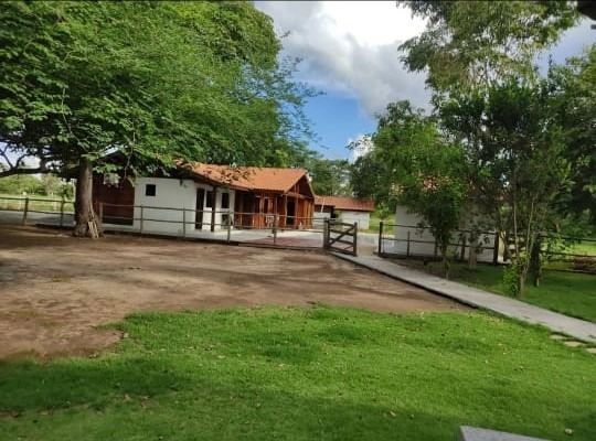 M A R A V I L H A Fazenda/Sítio de L U X O, 31 hectares em Riachinho.: 18ª foto da galeria de imagens do imóvel