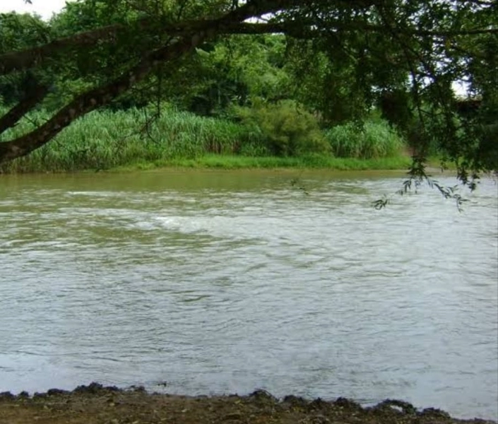 M A R A V I L H A Fazenda/Sítio de L U X O, 31 hectares em Riachinho.: 21ª foto da galeria de imagens do imóvel