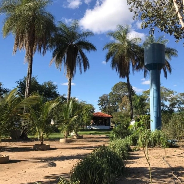 M A R A V I L H A Fazenda/Sítio de L U X O, 31 hectares em Riachinho.: 15ª foto da galeria de imagens do imóvel