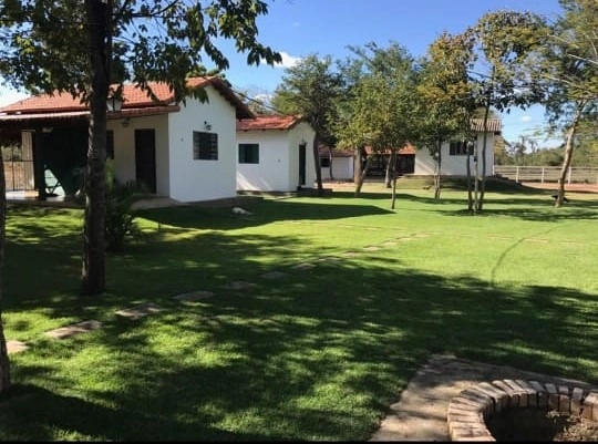 M A R A V I L H A Fazenda/Sítio de L U X O, 31 hectares em Riachinho.: 4ª foto da galeria de imagens do imóvel